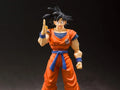 Dragon Ball Z S.H.Figuarts Goku (A Saiyan Raised On Earth)